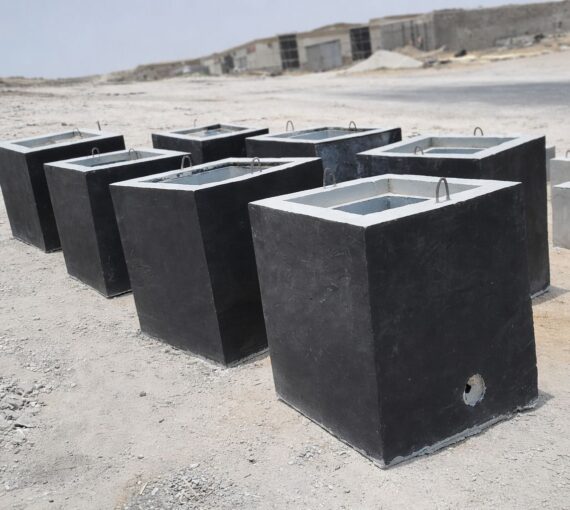 WhatsApp Image 2026-03-04 at 12.33.59 PM (3)